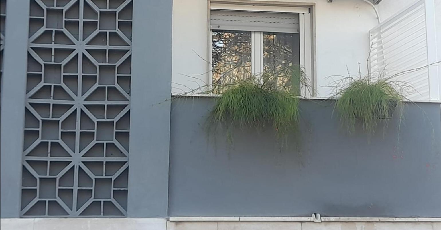 Maison Sama ' أندريا المظهر الخارجي الصورة