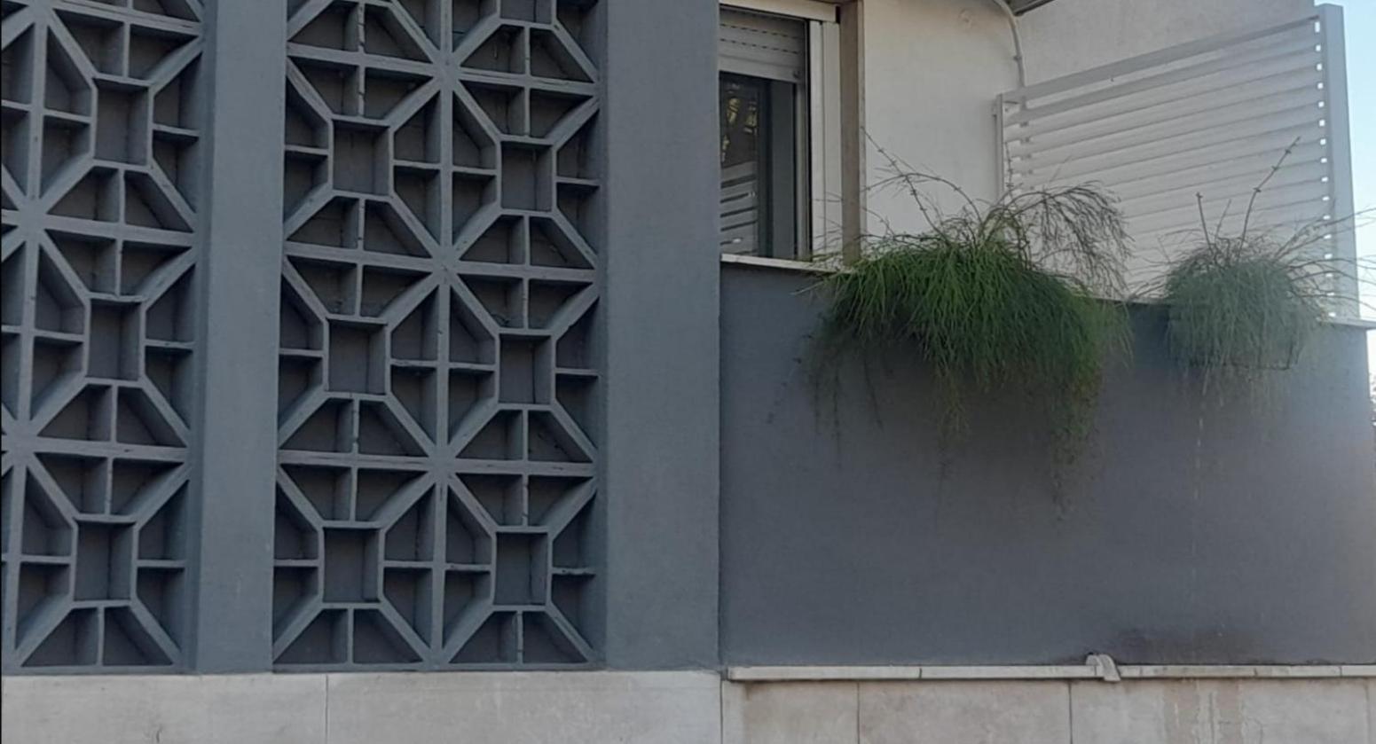 Maison Sama ' أندريا المظهر الخارجي الصورة