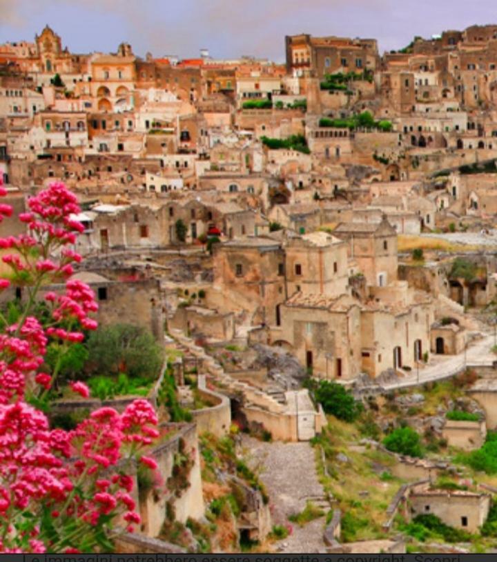 Maison Sama ' أندريا المظهر الخارجي الصورة